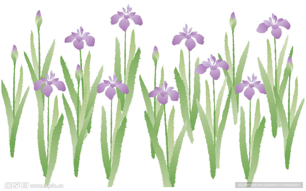 花纹