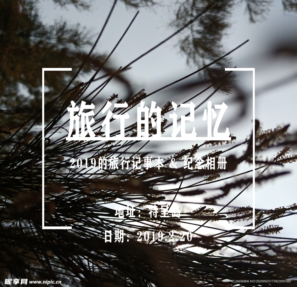 相册