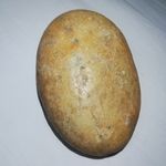 椭圆形黄色石头