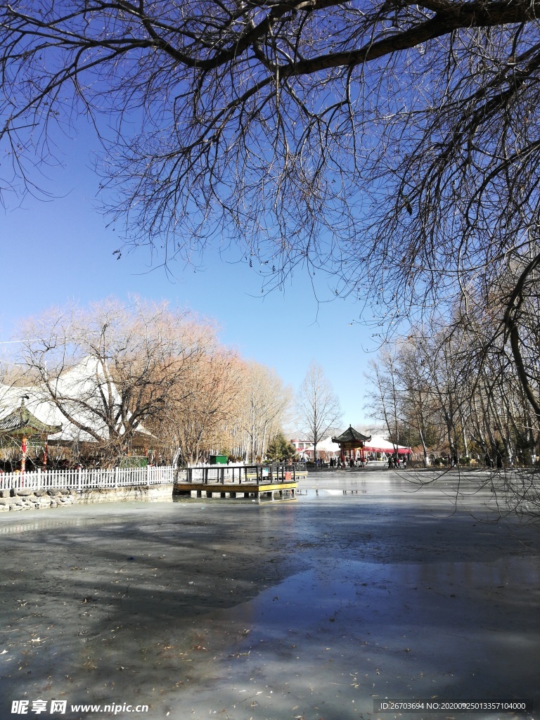 结冰的湖泊风景