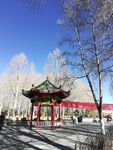 古典亭子树木风景