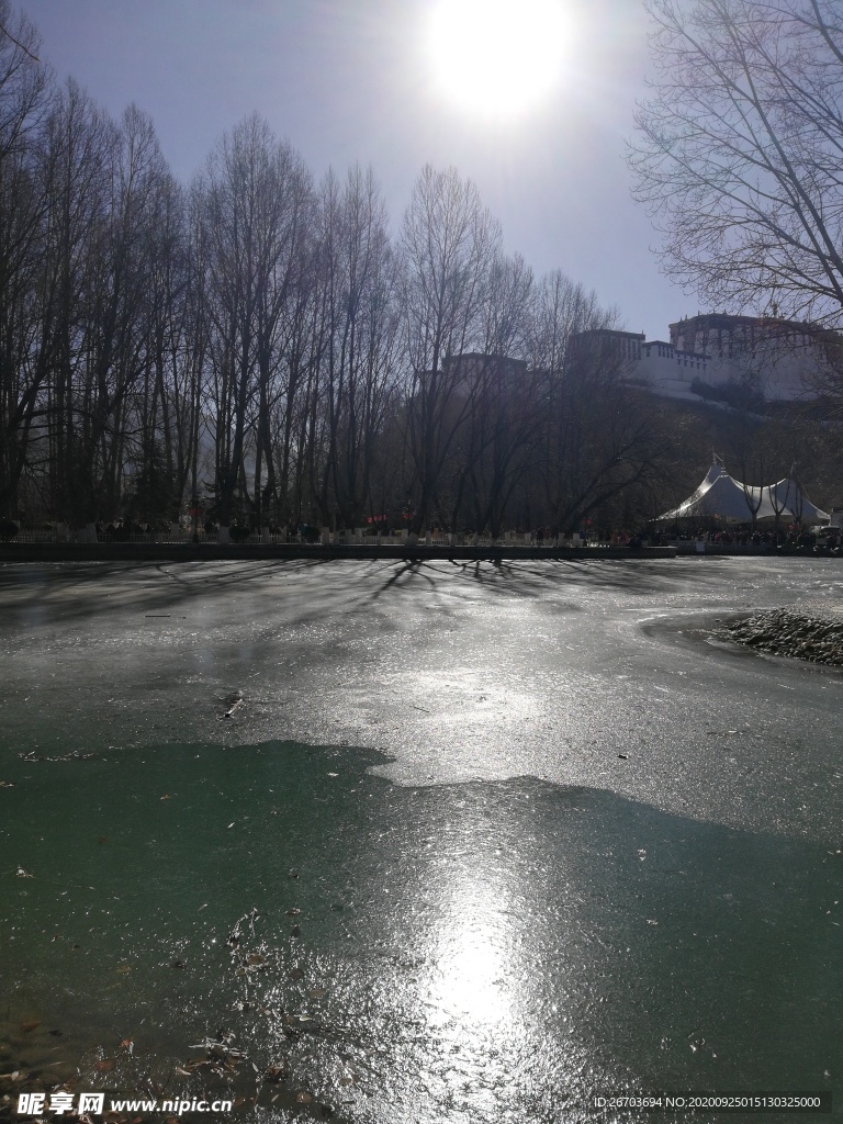 冰冻的湖泊树林日出风景