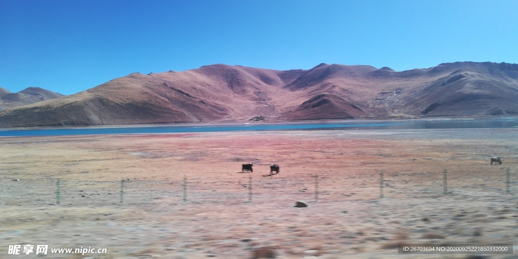 高山湖泊牧场风景