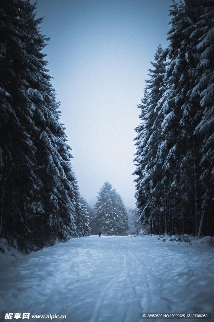 雪景