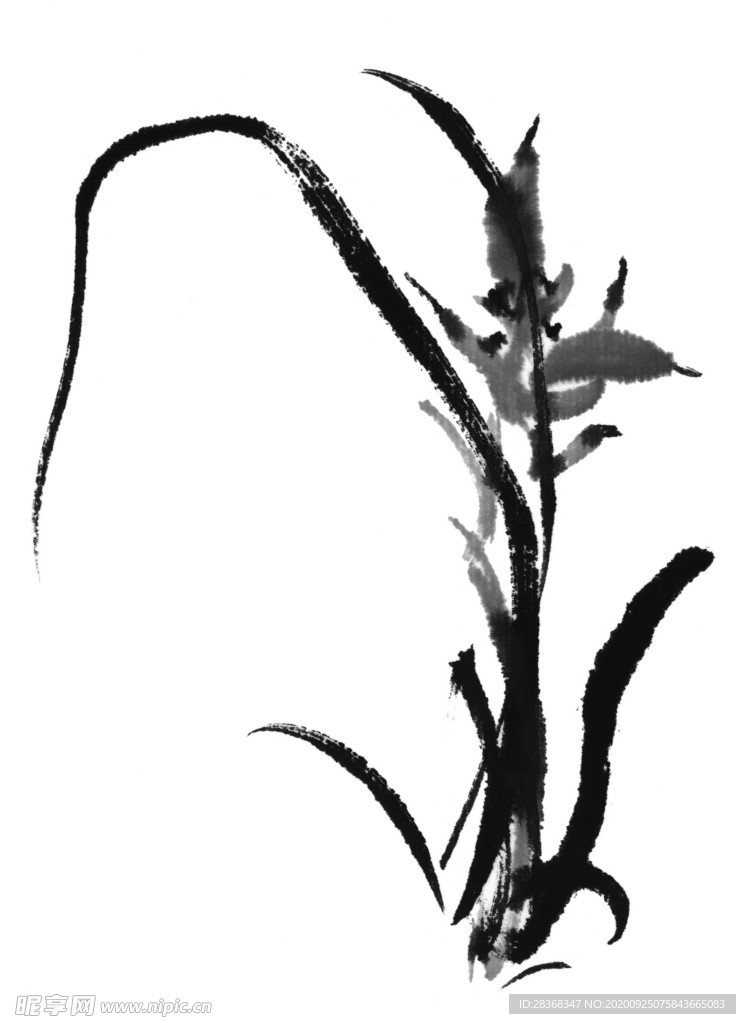 水墨花卉