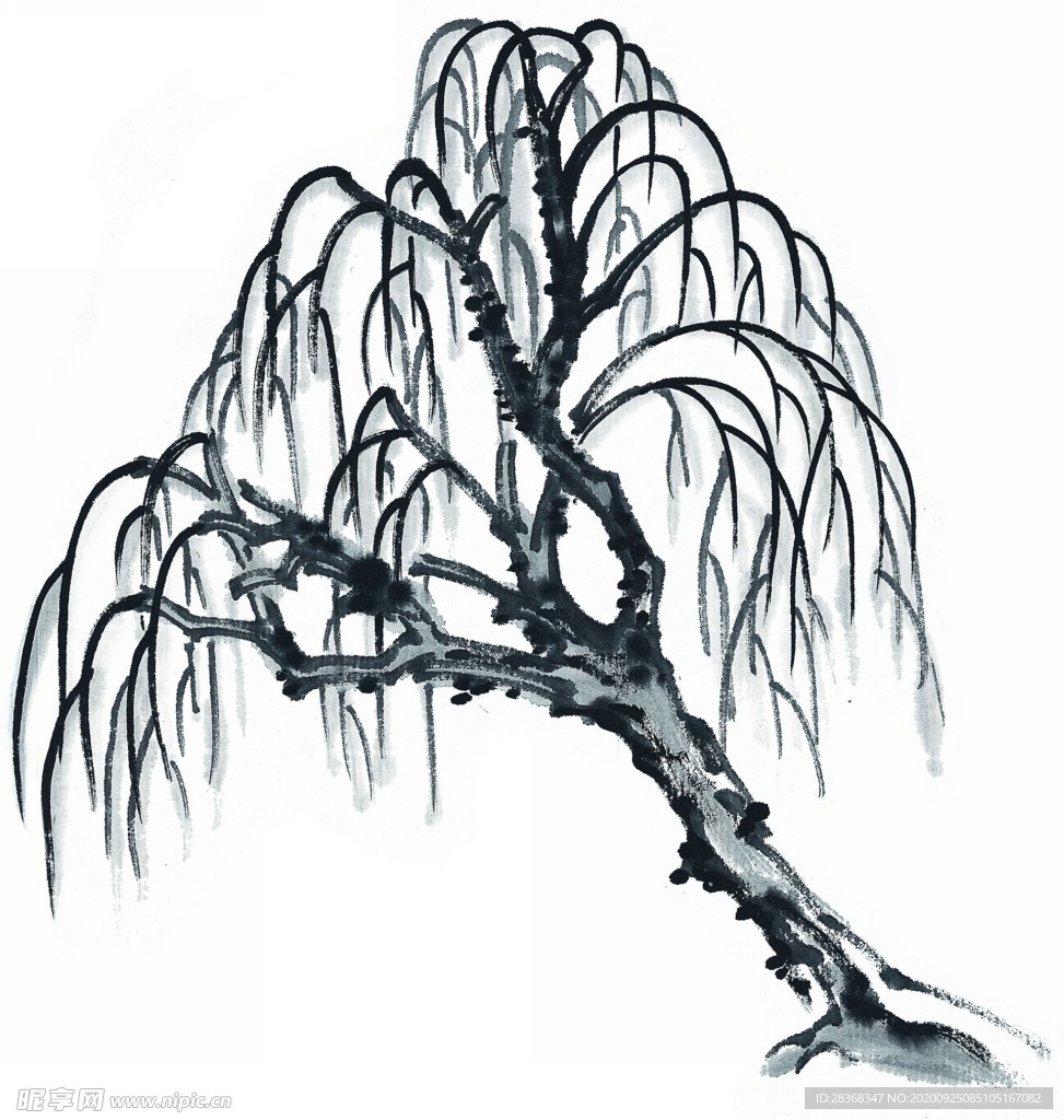 水墨柳树