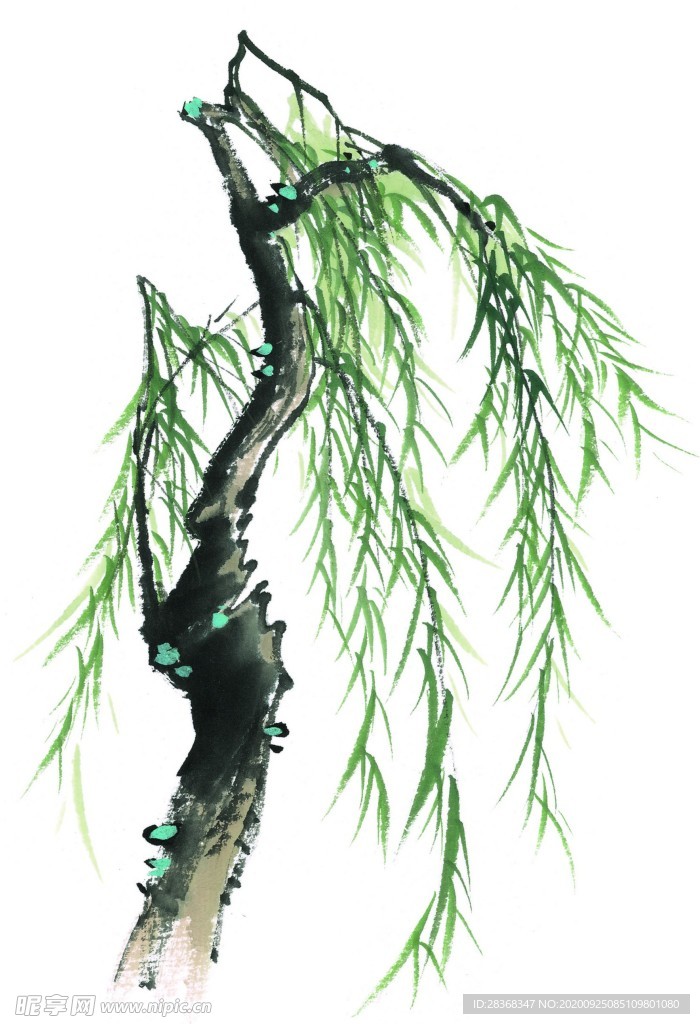 水墨柳树