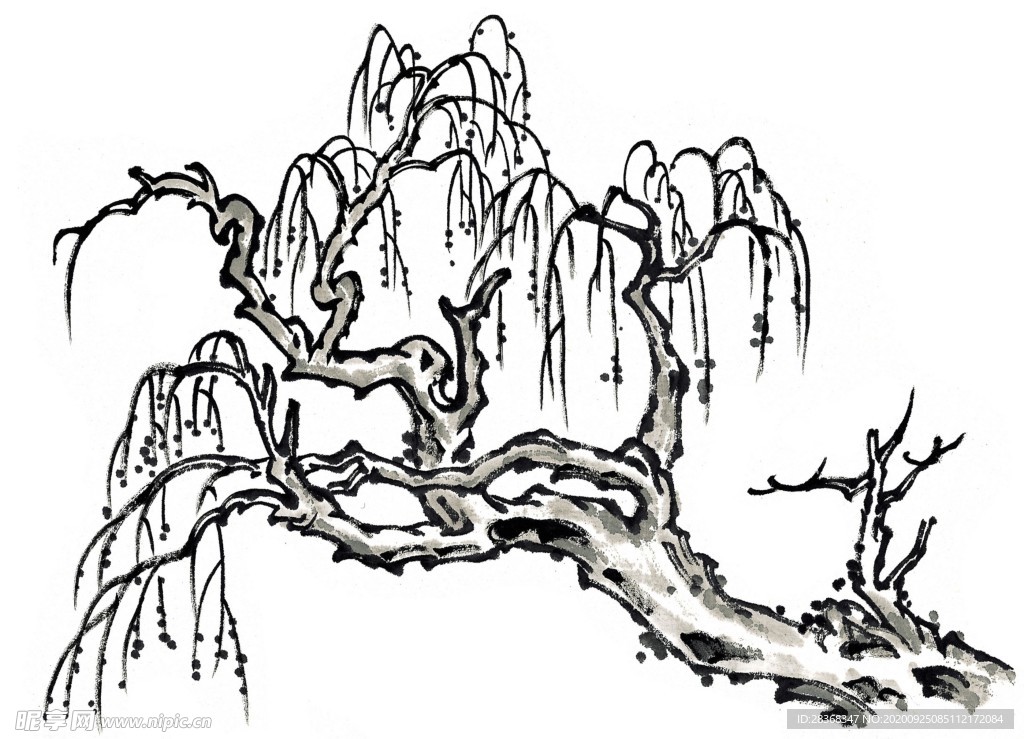 水墨柳树