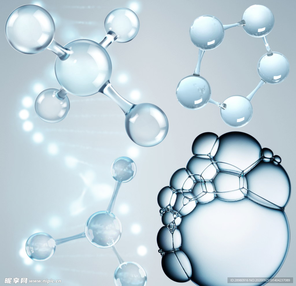 分子精化DNA