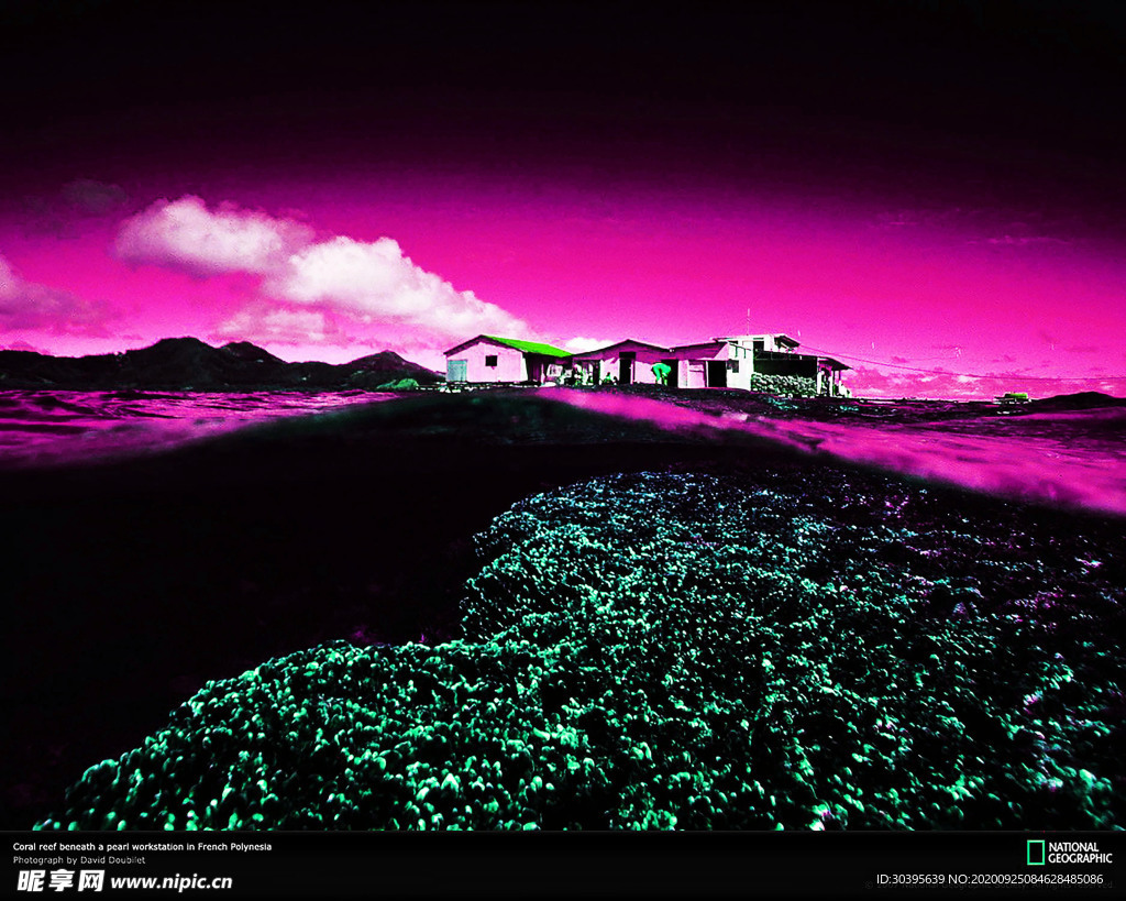 浪漫素材