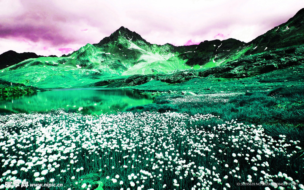 浪漫素材
