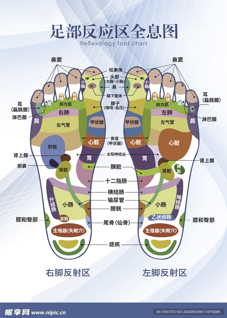 足部反应区