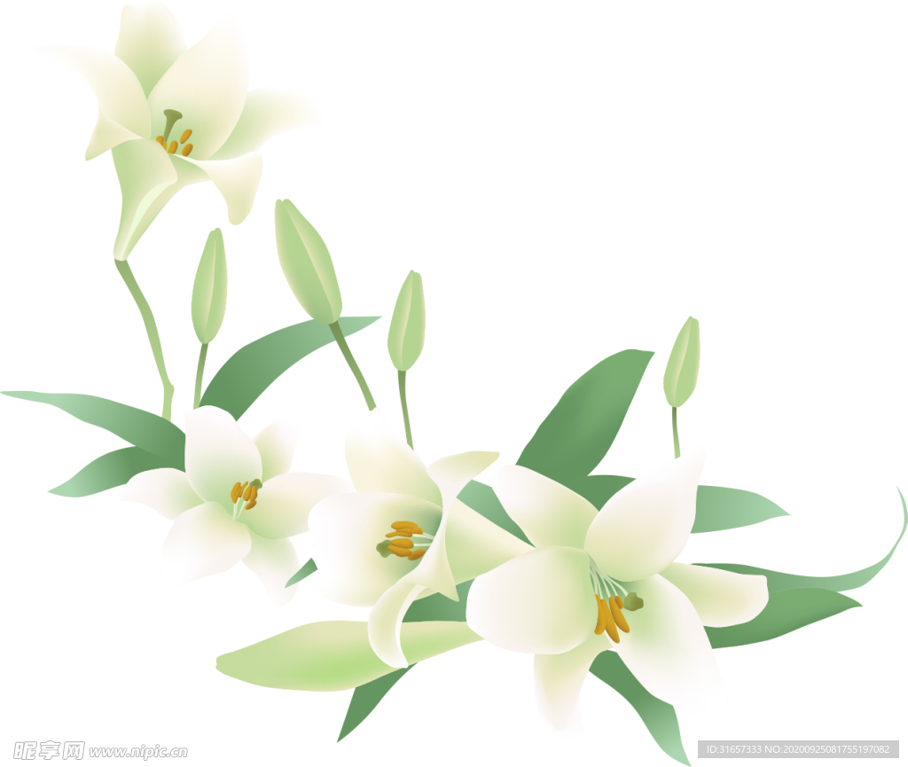 花免抠图PNG