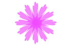 花纹