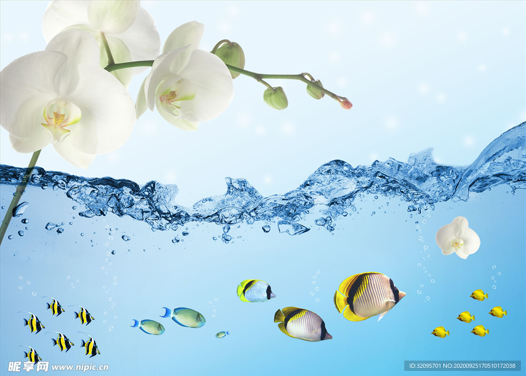 浮雕花 花藤 鱼类 水珠背景墙