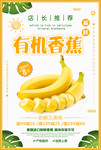 香蕉海报