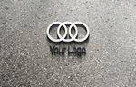 LOGO标志样机