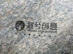LOGO标志样机