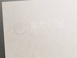 LOGO标志样机