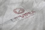 LOGO标志样机