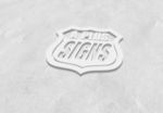 LOGO标志样机