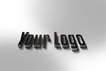 LOGO标志样机