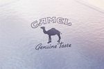 LOGO标志样机
