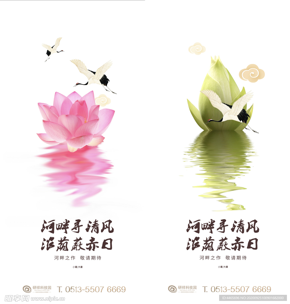 荷花大小暑系列