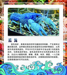 蓝龙虾