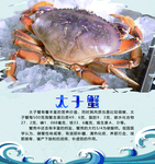 太子蟹