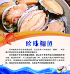 珍珠鲍鱼
