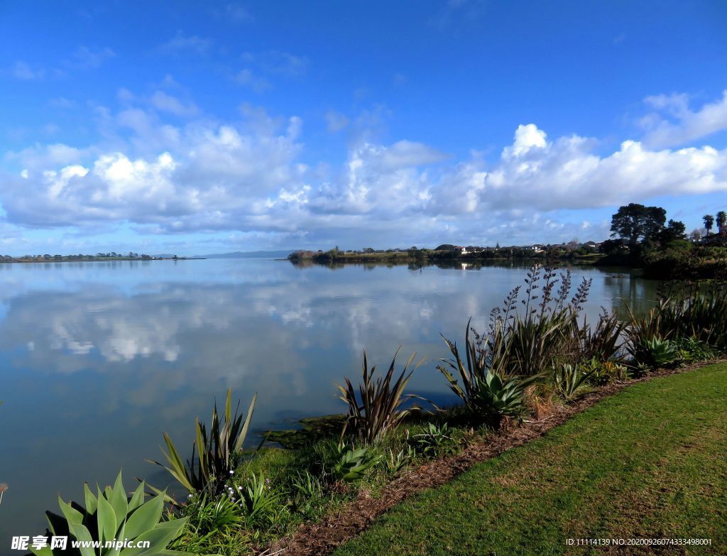 新西兰海滨自然风景