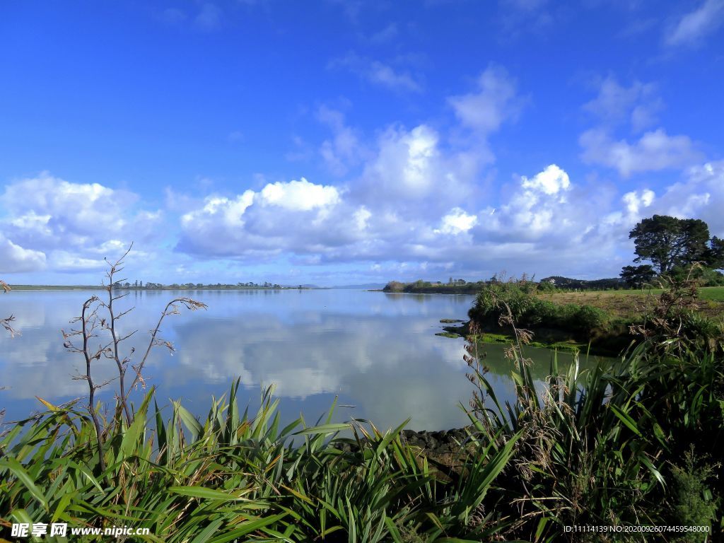 新西兰海滨自然风景