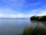 奥克兰海滨自然风景
