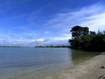 奥克兰海滨自然风景