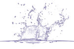 水  水圈  水素材  水花