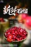石榴海报图片