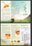 富硒鸡蛋折页