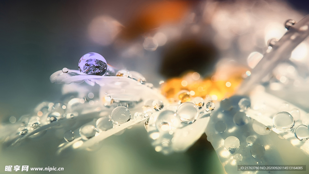 水珠