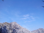 蓝蓝的天