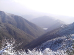 东天目山风景