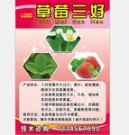 草莓不干胶