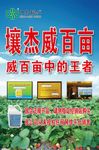 化肥海报