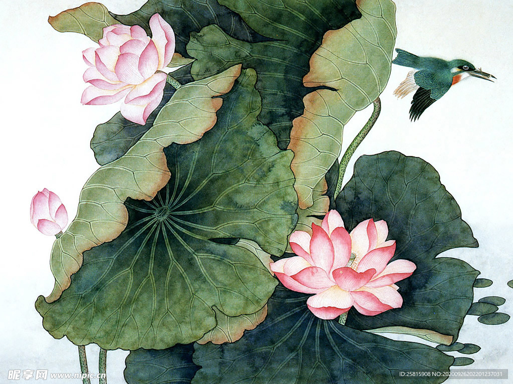 国画