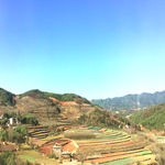 高山田园风光