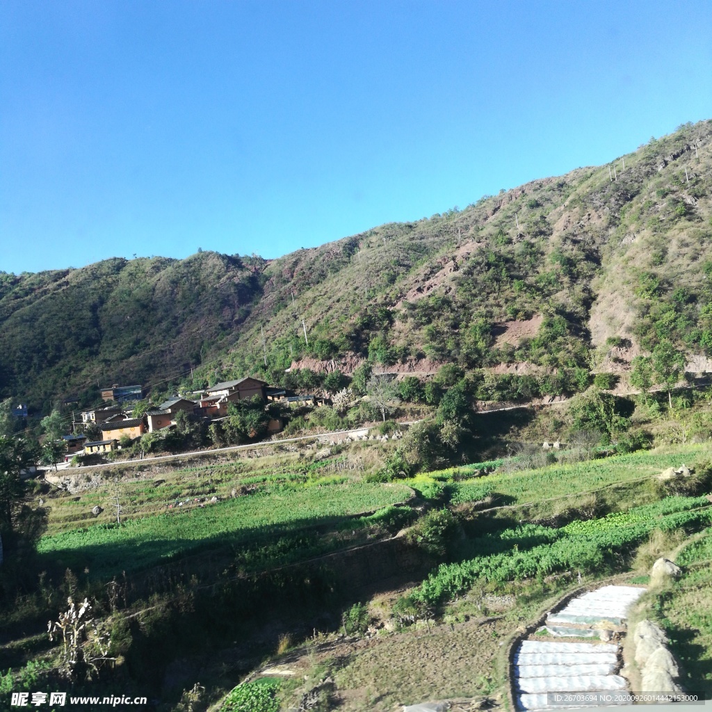 大山山村田野风景