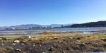洱海湿地风景
