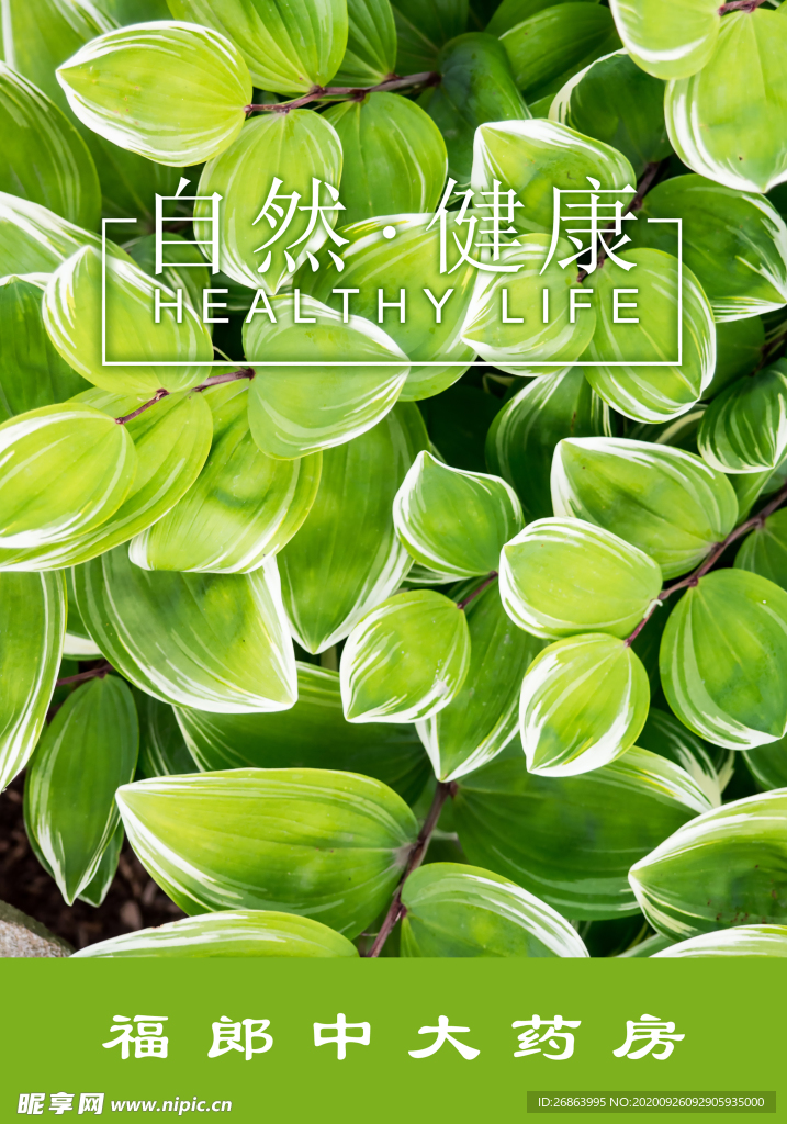 自然健康