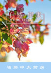 自然健康