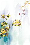 秋分